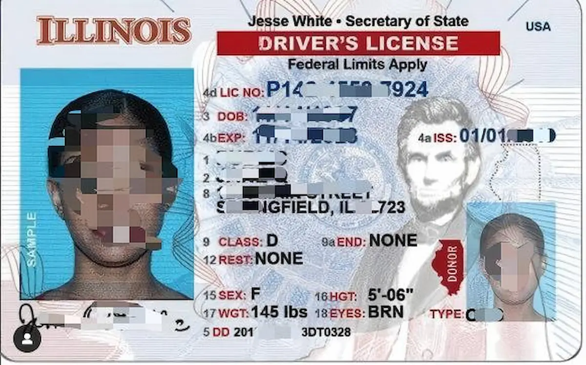 Illinois IL ID sample