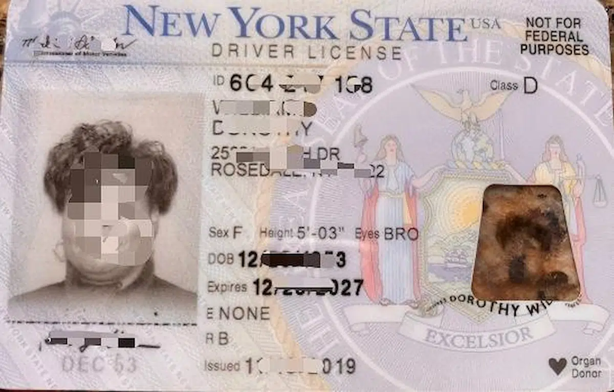 Physical sample details of New York NY custom ID
